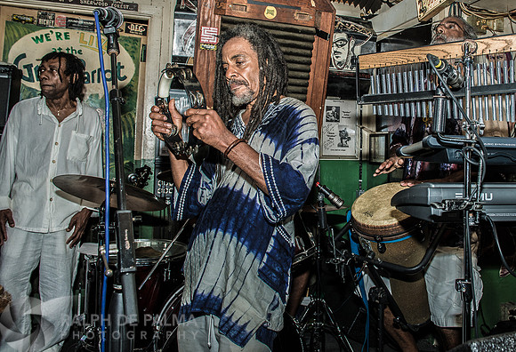 Bob Marley Tribute