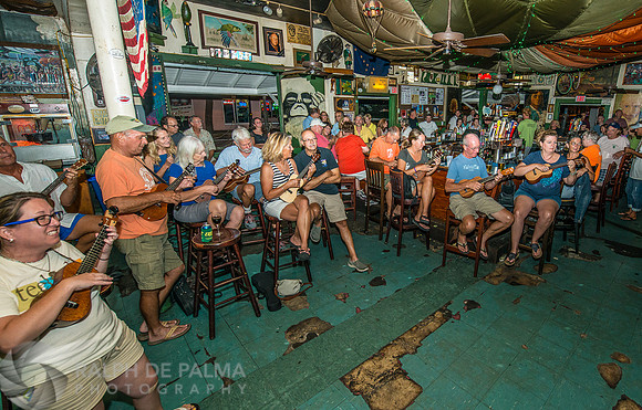 Ukelele Society
