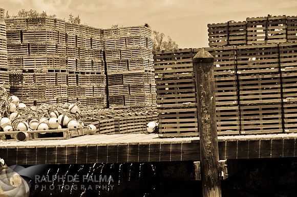 Stock Island 7