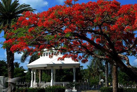 Bayfront Park, Key West