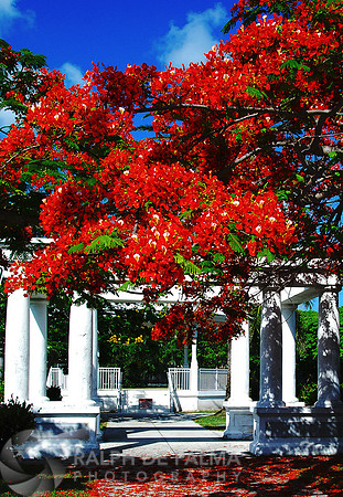 Bayfront Park, Key West