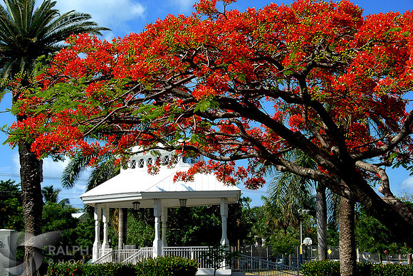 Bayfront Park, Key West