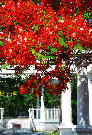 Bayfront Park, Key West