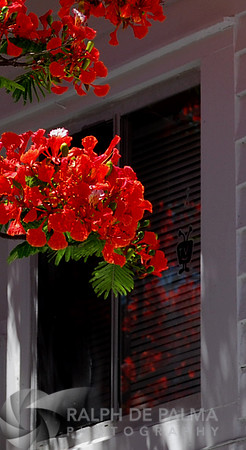 I love this time of year.