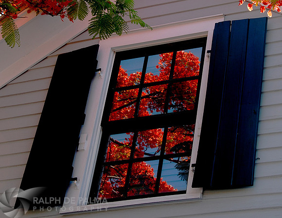 Reflection inspired