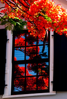 Reflections on every window