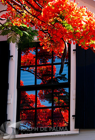 Reflections on every window