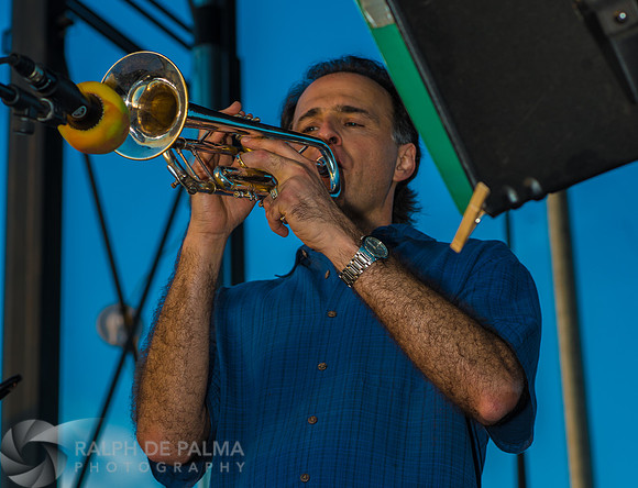 Howard Livingston