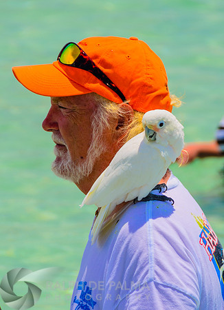 Howard Livingston