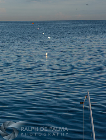 Marlin Fishing