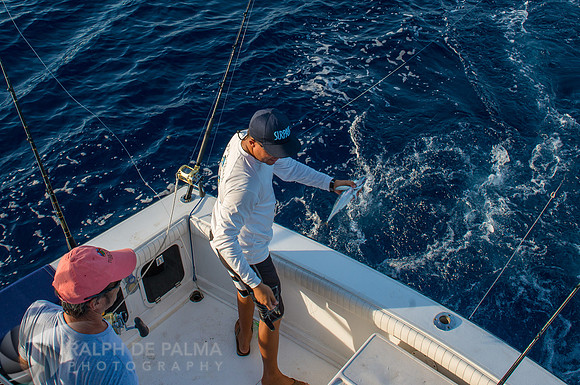 Marlin Fishing