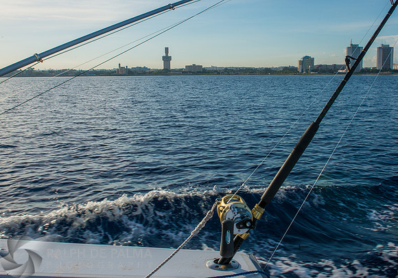 Marlin Fishing