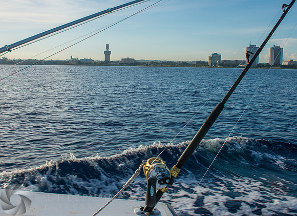 Marlin Fishing