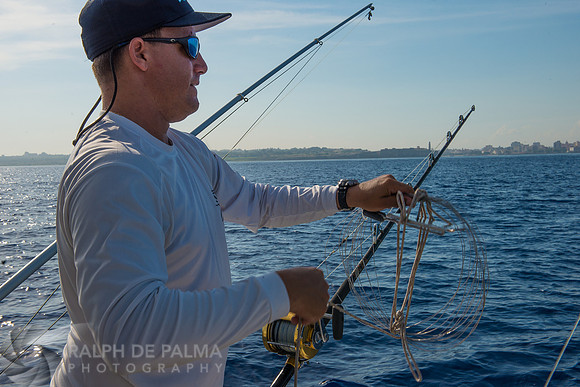 Marlin Fishing