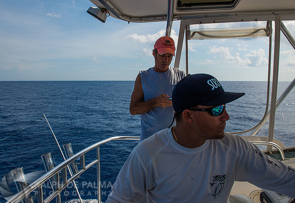 Marlin Fishing