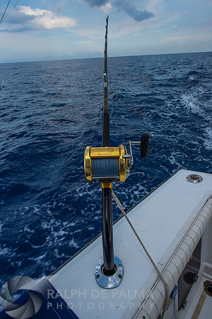 Marlin Fishing