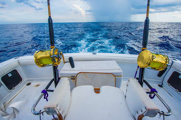 Marlin Fishing