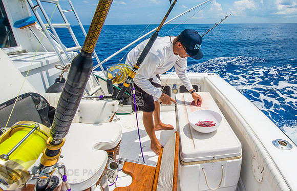Marlin Fishing