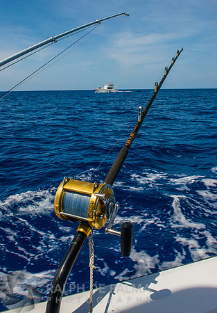 Marlin Fishing