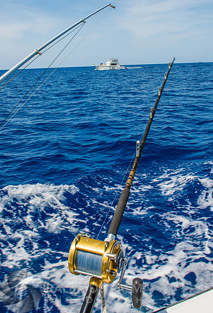 Marlin Fishing
