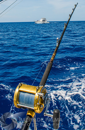 Marlin Fishing