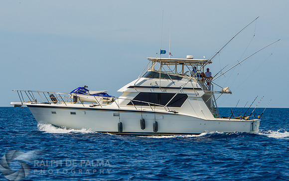 Marlin Fishing