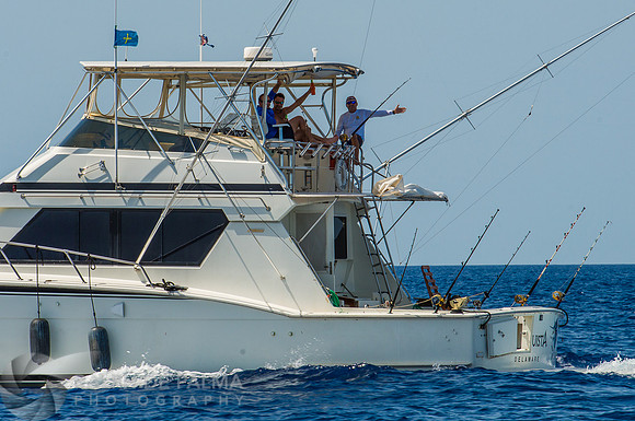 Marlin Fishing