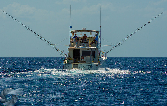 Marlin Fishing