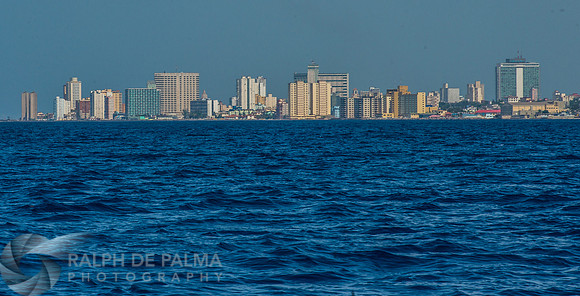 Marlin Fishing
