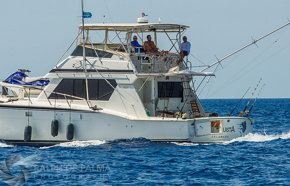 Marlin Fishing