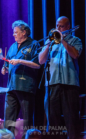 Horn Section
