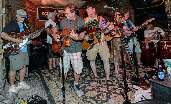 That Hippie Band