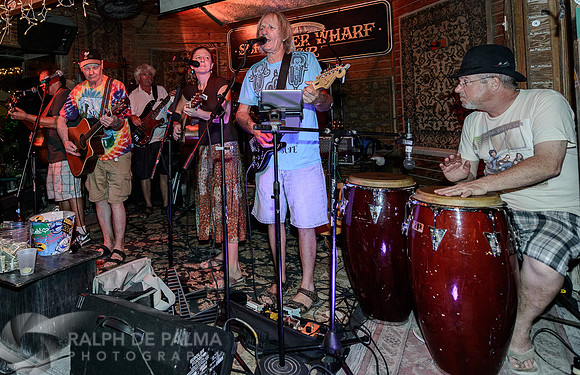 That Hippie Band