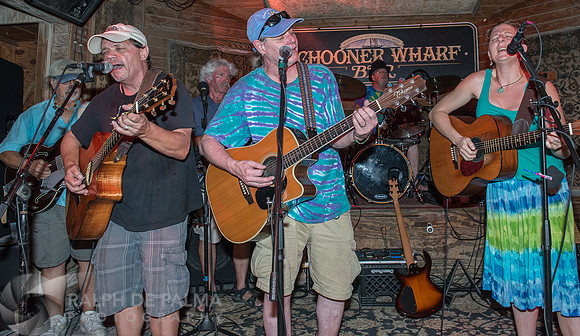 That Hippie Band