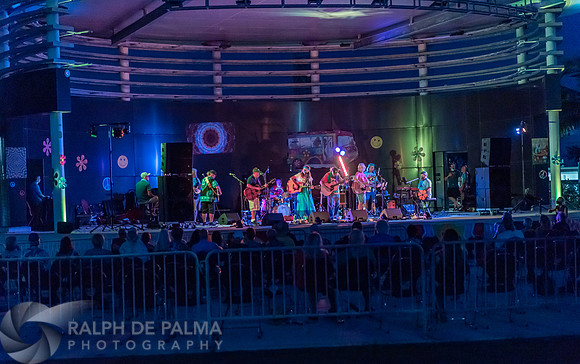 That Hippie Band