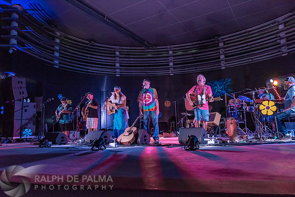 That Hippie Band
