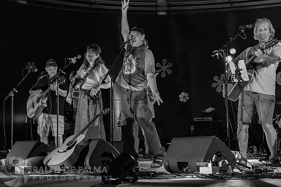 That Hippie Band