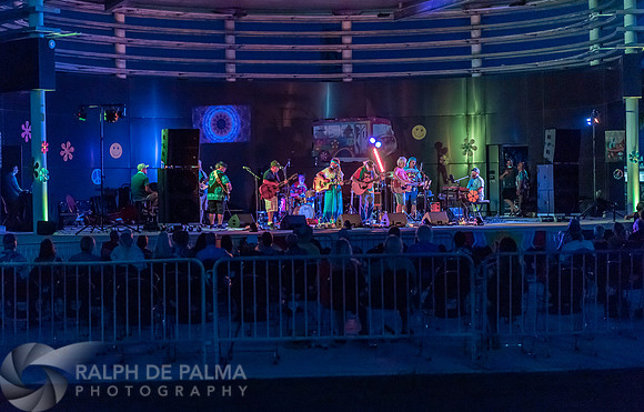 That Hippie Band
