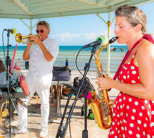 Coconut Victrola