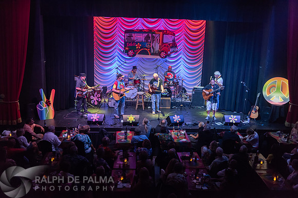 That Hippie Band