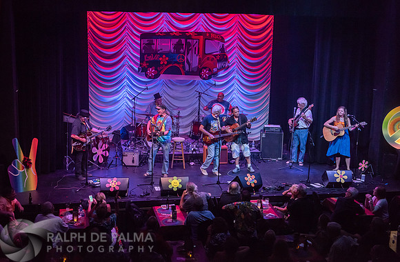 That Hippie Band