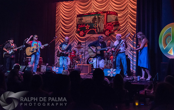 That Hippie Band