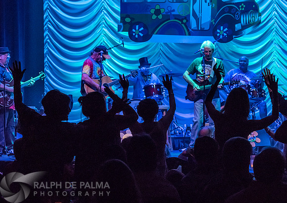 That Hippie Band