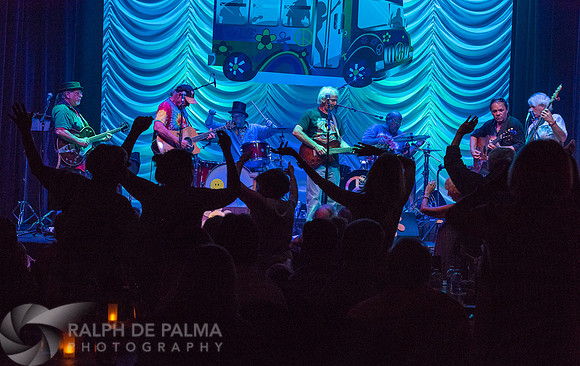 That Hippie Band
