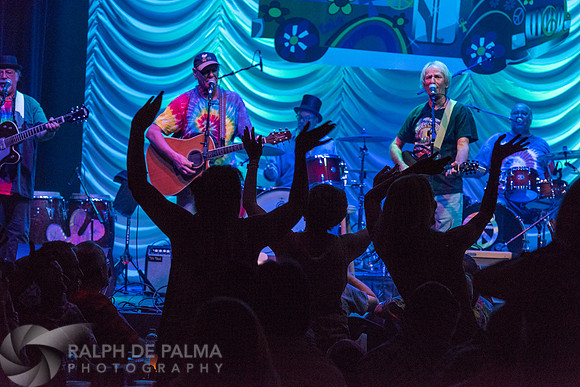 That Hippie Band