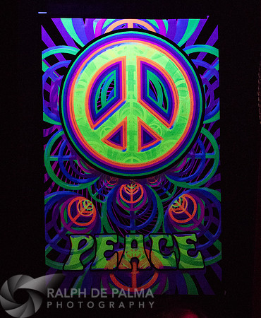 That Hippie Band