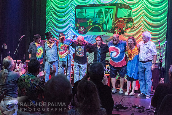 That Hippie Band