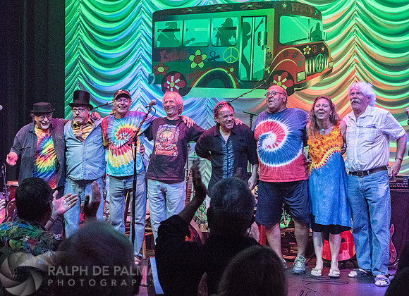 That Hippie Band