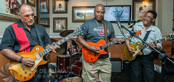 Les Paul Tribute