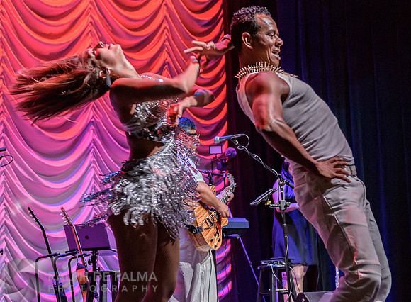 Havana Nights